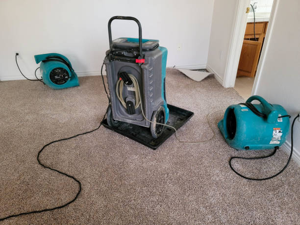 Best Professional water damage repair  in Clearlake, CA