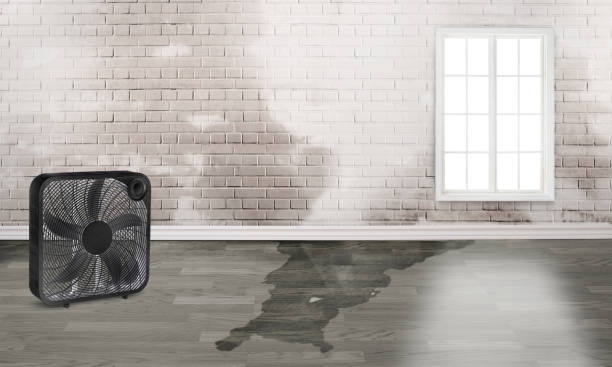 Best Commercial water damage restoration  in Clearlake, CA