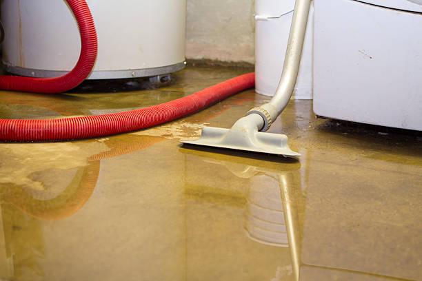 Best Water damage cleanup near me  in Clearlake, CA