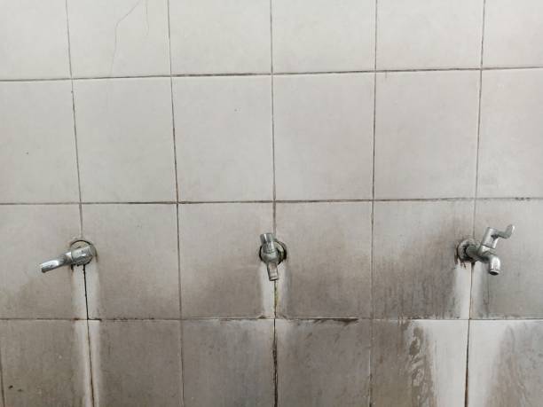 Best Water damage contractors near me  in Clearlake, CA