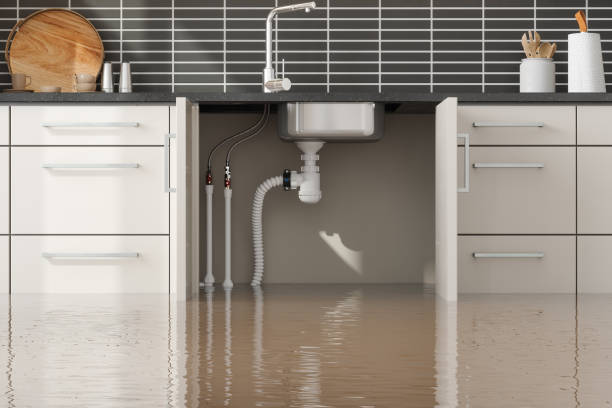 Best Ceiling water damage repair  in Clearlake, CA