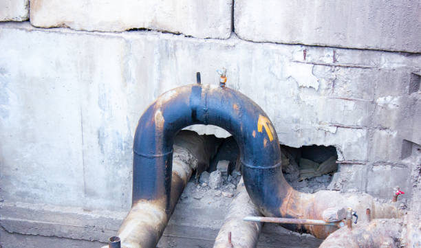 Best Mold removal after water damage  in Clearlake, CA