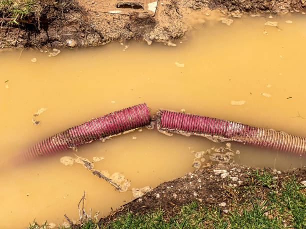 Best 24/7 water damage repair  in Clearlake, CA